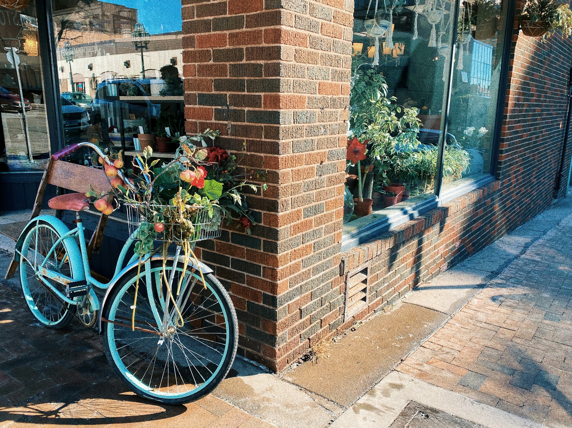 meg-jenson-e9F9bfMJ_5A-unsplash.jpg