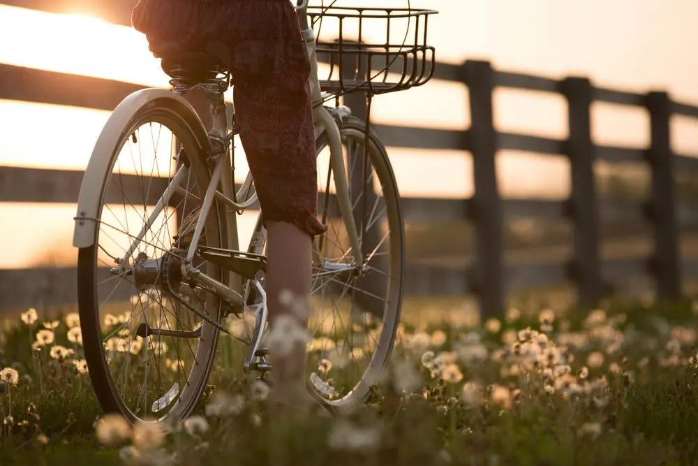 Como organizar mi alquiler de bicicletas paso a paso