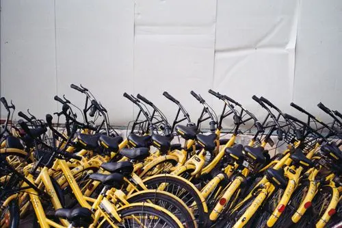 Software para la gestión de alquiler de bicicletas: ¿Qué debo saber?
