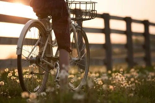 Como organizar mi alquiler de bicicletas paso a paso